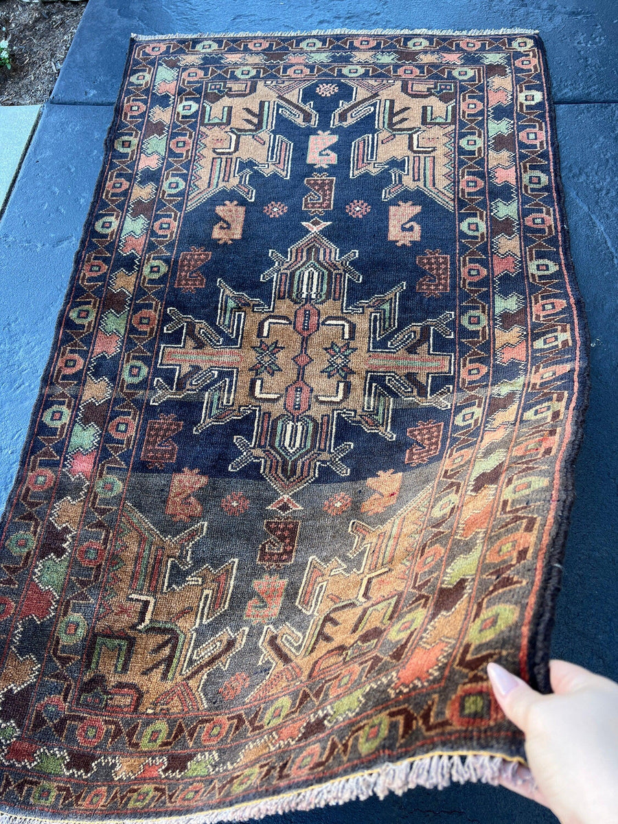 Finley 3x5 Baluch Area Rug The Rug Mine Free Shipping Worldwide