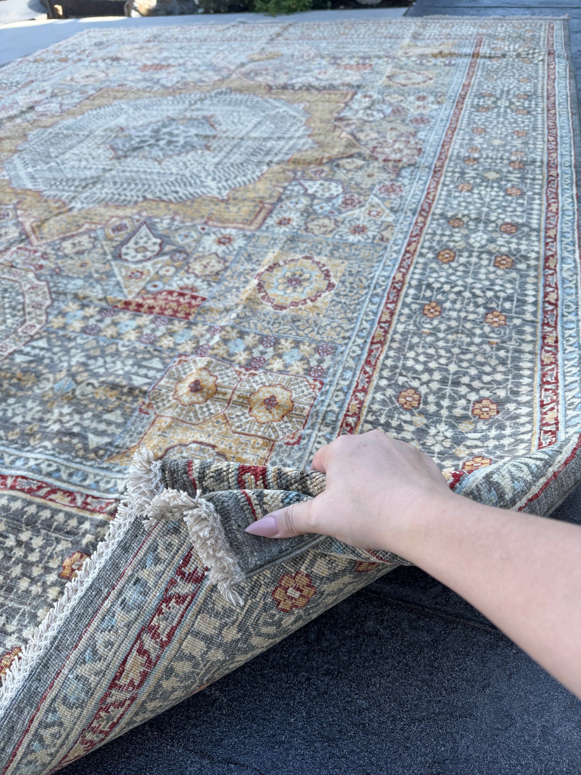 Alondra - 8x10 Area Rug