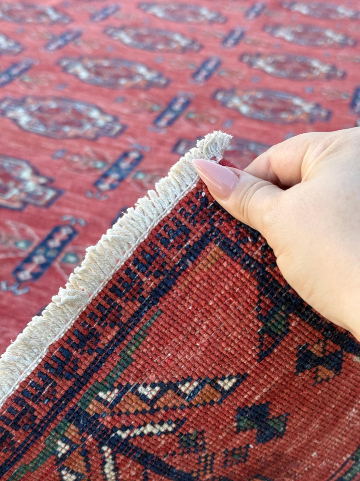 9x11 Handmade Afghan Rug | Crimson Salmon Pink Maroon Brick Red Burnt Terracotta Denim Navy Blue Forest Hazel Green Saffron Beige Ivory Wool