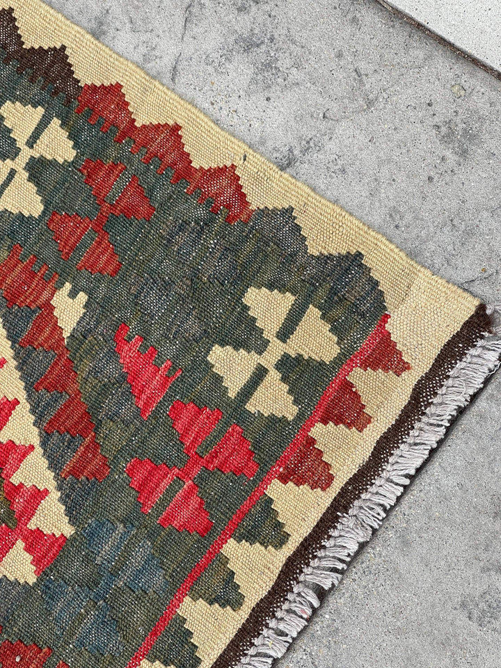 3x10 (90x305) Handmade Afghan Kilim Rug Runner | Salmon Pink Blue Red Forest Green Beige Redwood | Flatweave Flat Weave Tribal Oriental Boho