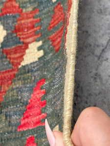 3x10 (90x305) Handmade Afghan Kilim Rug Runner | Salmon Pink Blue Red Forest Green Beige Redwood | Flatweave Flat Weave Tribal Oriental Boho