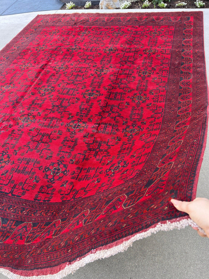 8x11-9x12 (275x365) Handmade Afghan Rug | Red Black Crimson Red Cream Beige | Khal Mohammadi Wool Knotted Oriental Turkmen Boho